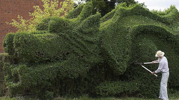 dragon-shaped-hedge-topiary-john-brooker-1
