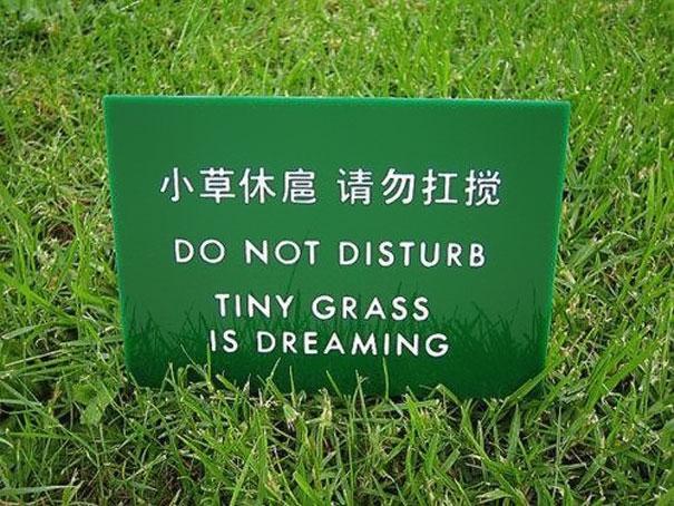 funny-chinese-sign-translation-fails-35
