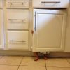 funny-kids-playing-hide-and-seek-66_605
