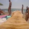 hond_houdt_van_water
