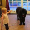 toddler_tries_teaching_dog_to_hula_hoop