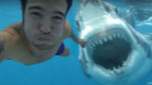 selfie met haai