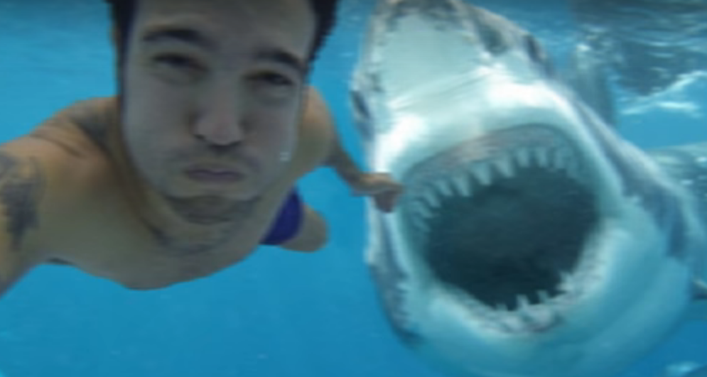 selfie met haai