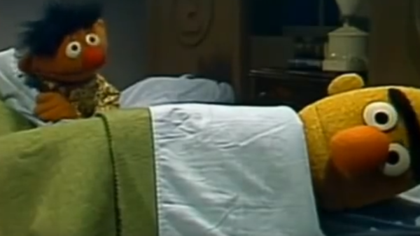 Bert en Ernie zijn een stel