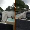 speedboot