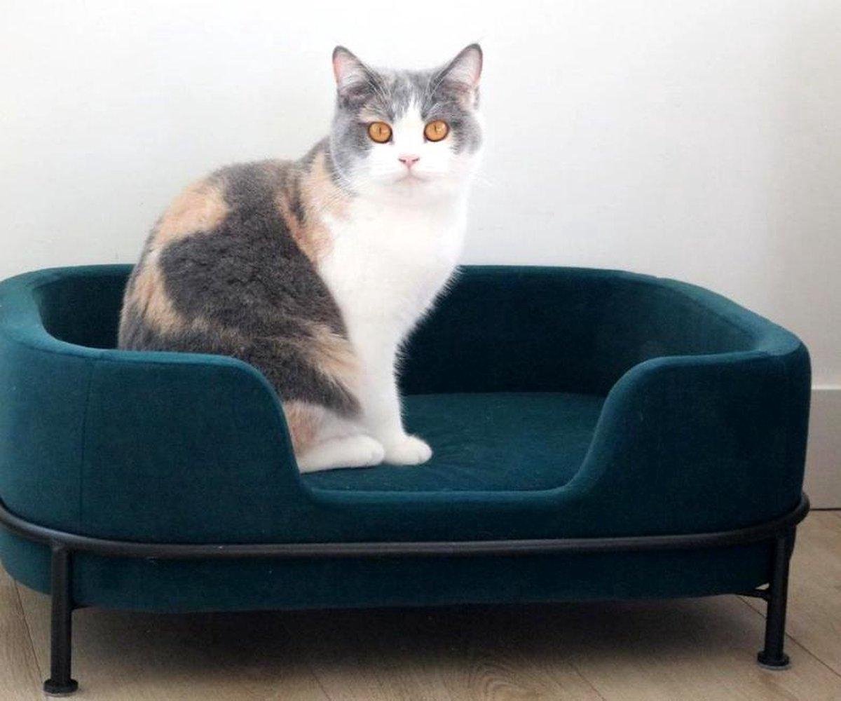 sofa voor kat