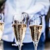 champagne