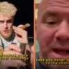 jake paul dana white ufc
