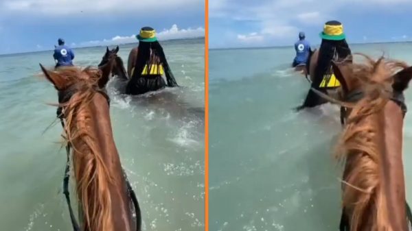 paardrijden in zee