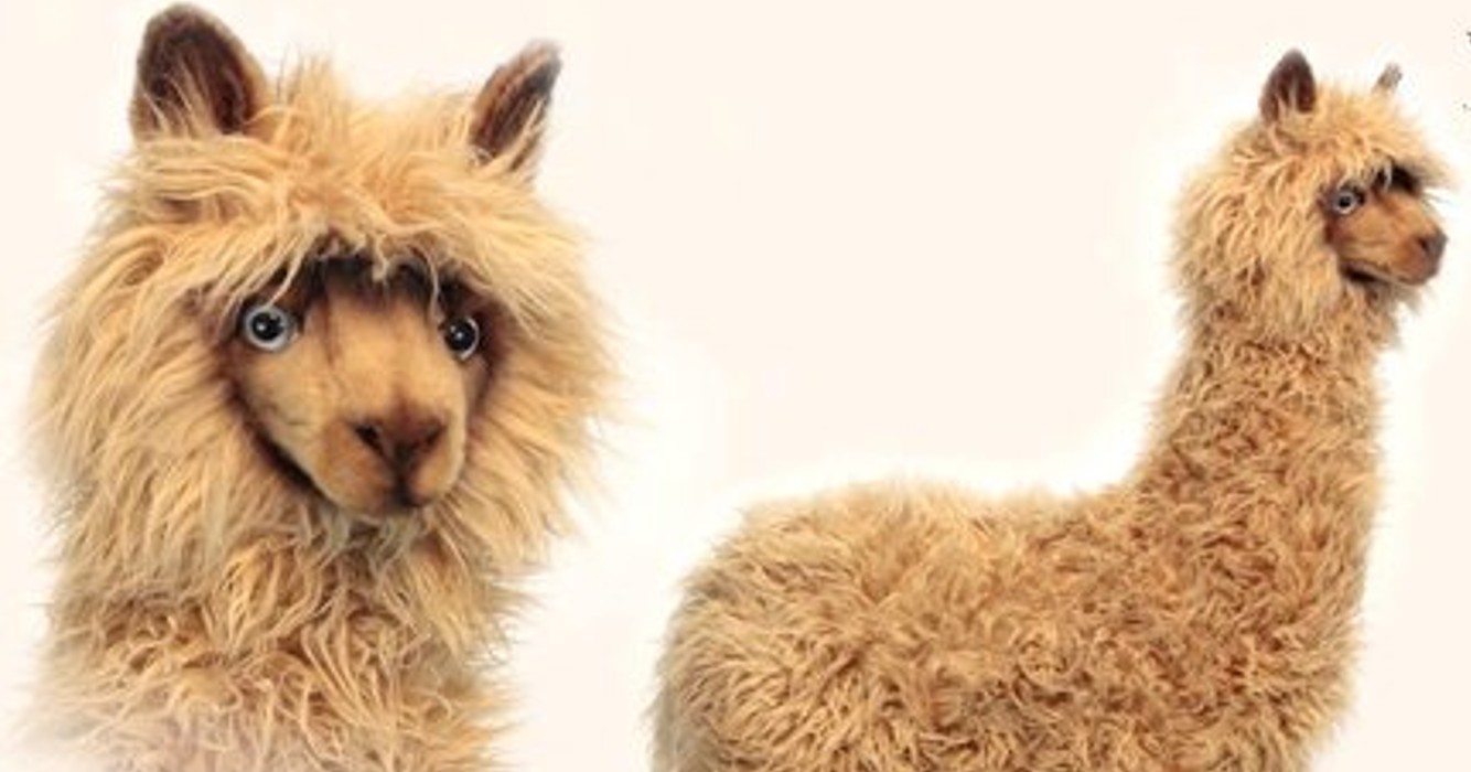 Deze levensgrote 'Berijdbare Alpaca’s' zijn nu te koop bij Bol.com!