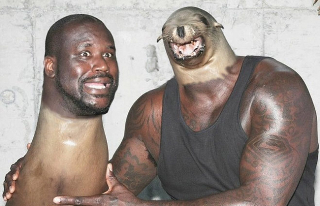 faceswaps