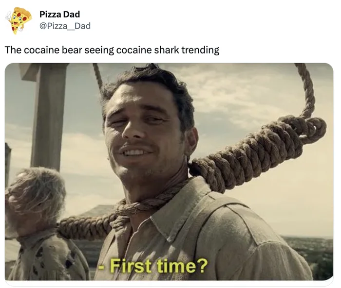 cocaine shark