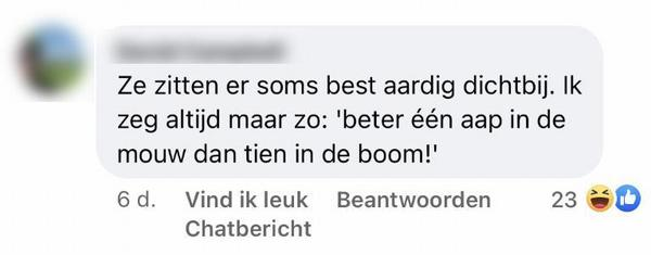 spreekwoorden