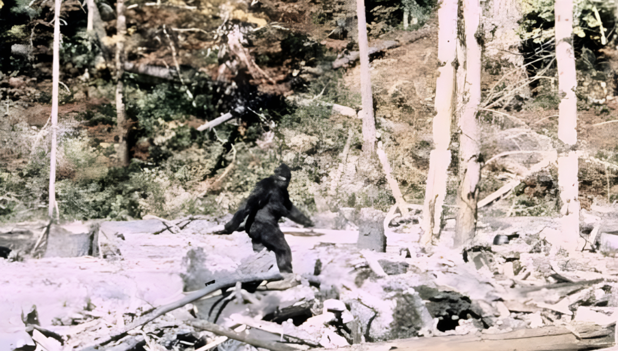 bigfoot