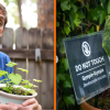 Gevaarlijkste plant ter wereld die 'suïcidale gedachten kan veroorzaken' nu ook gevonden in Europa