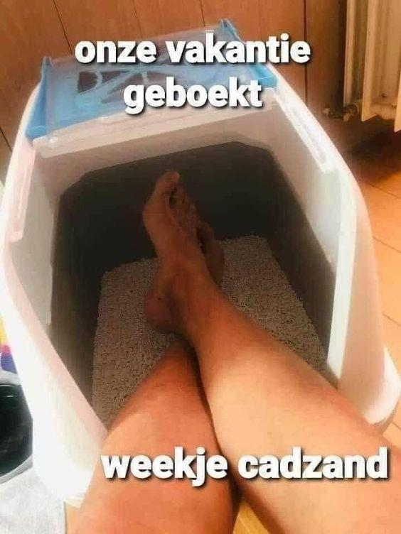 23 vet slechte woordgrappen