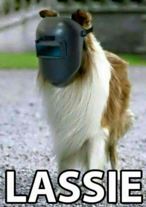 23 vet slechte woordgrappen