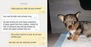 17 mensen die hun denkvermogen op vakantie hebben gelaten