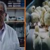 Netflix-docu 'Poisoned', die de maag doet omdraaien, zorgt ervoor dat kijkers 'veganist willen worden'