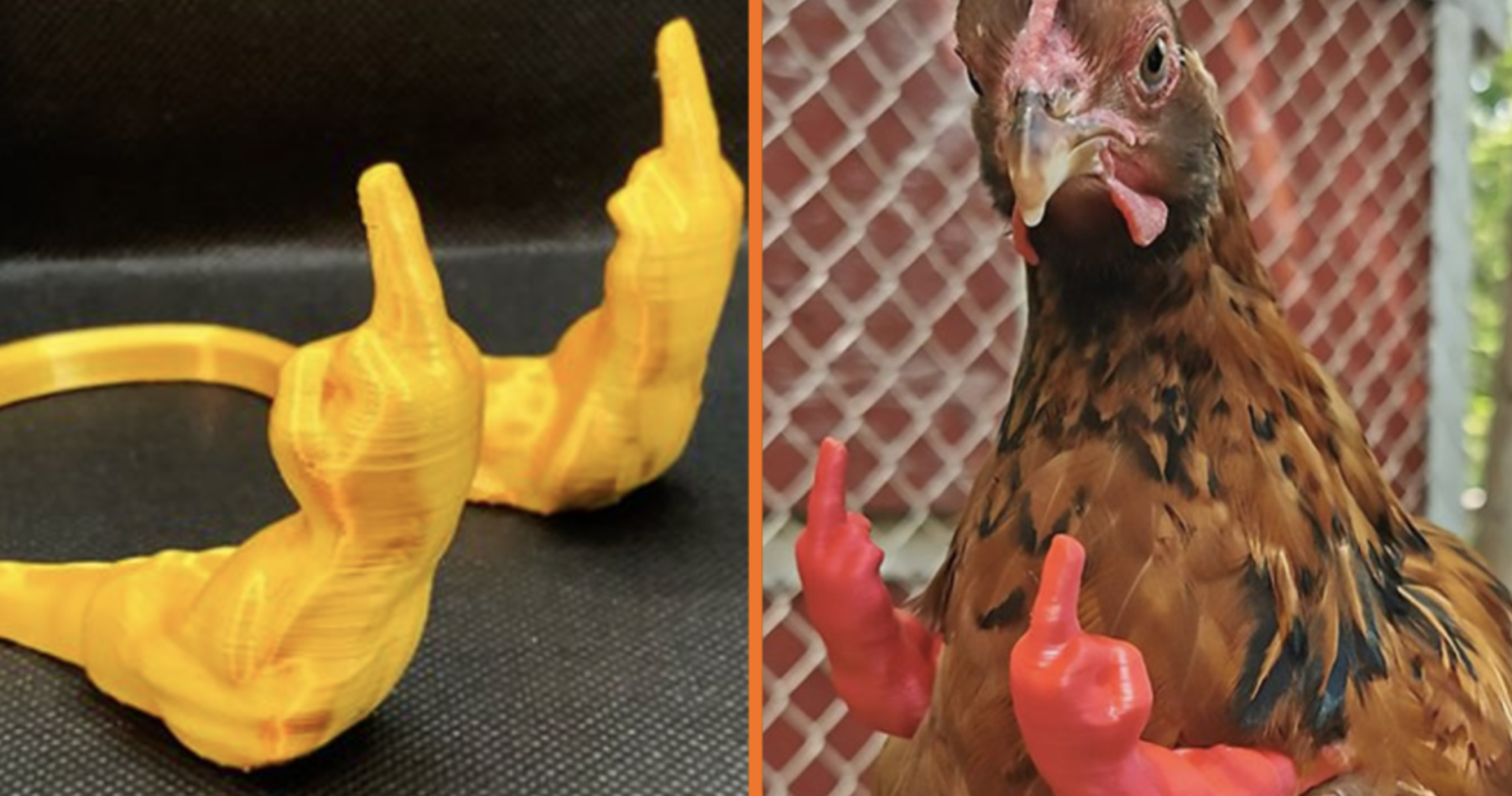 3D geprinte middelvingers voor je vogel is hilarischer dan je denkt