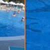 Zwembadverrassingen: drollen komen bovendrijven in Turks all inclusive-hotel