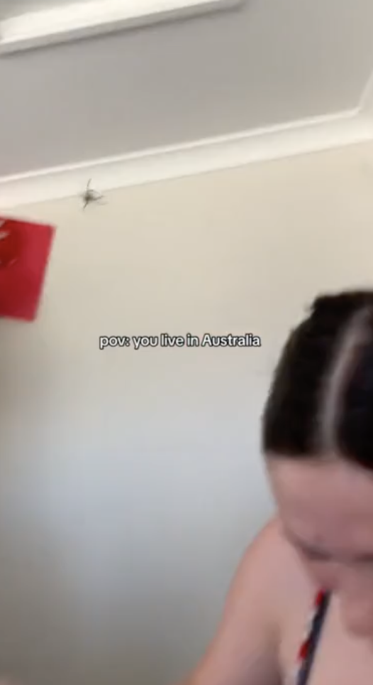 Zelfs in Australië blijkt niet iedereen een groot fan van enorme spinnen te zijn