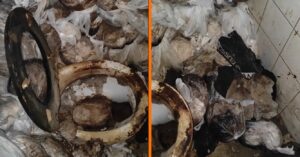 Professionele schoonmakers hebben weer een fijn schoonmaakklusje