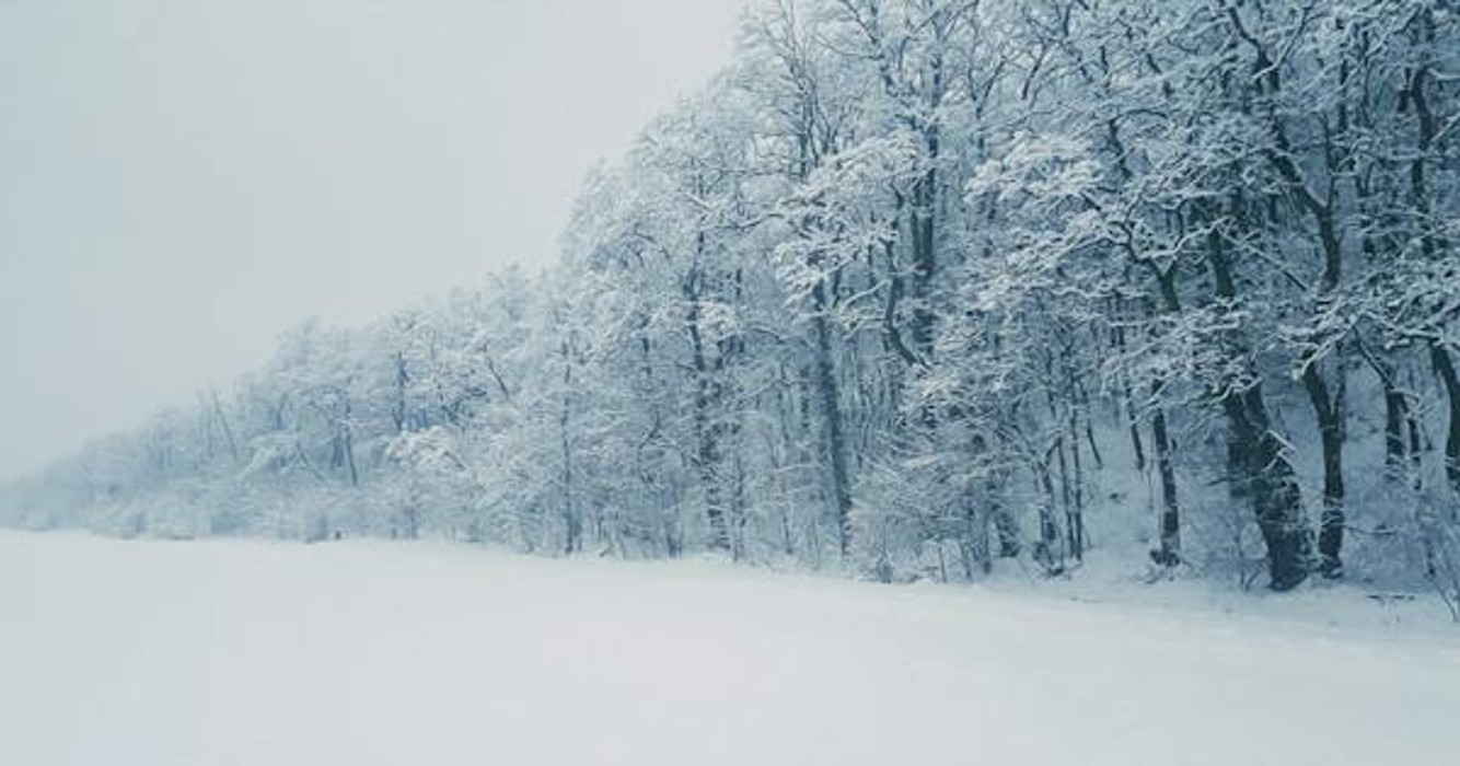 Gaat er echt een sneeuwbom vallen? Een Meteoroloog verklaart de voorspellingen