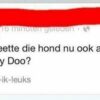 Deze 16 mensen hebben de IQ van een stoeptegel