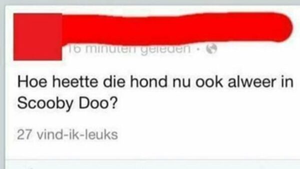Deze 16 mensen hebben de IQ van een stoeptegel