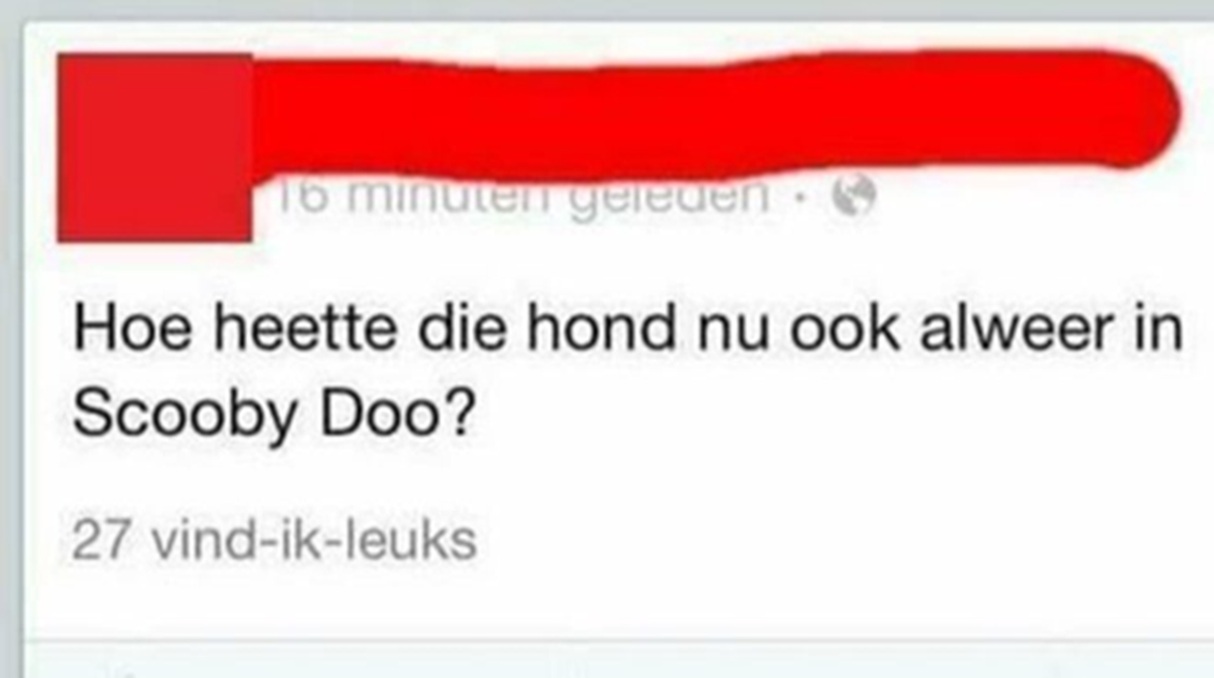 Deze 16 mensen hebben de IQ van een stoeptegel