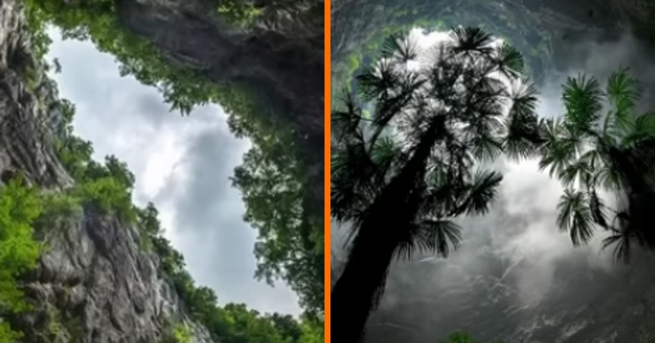Gigantische eeuwenoude boswereld 192 meter diep in een Chinees zinkgat ontdekt