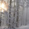 Meterologen waarschuwen voor hevige sneeuwval: "Het gaat keihard sneeuwen!"