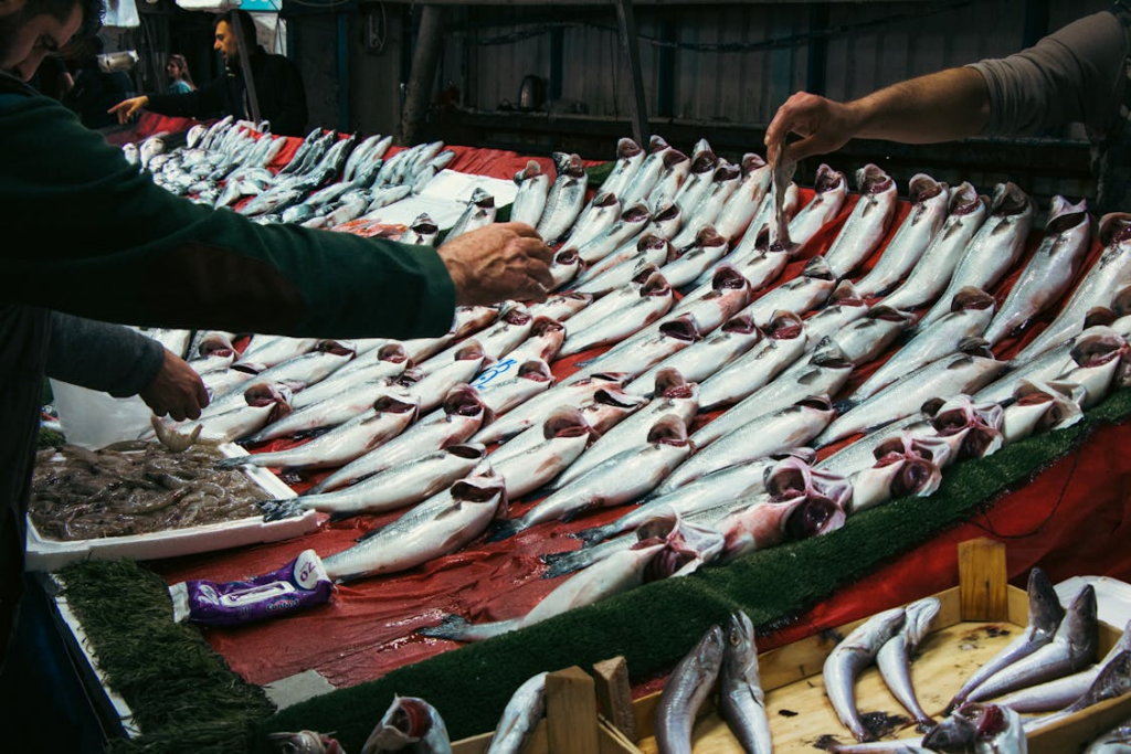 Kat Koopt Vis met Blad als Betaalmiddel: Een Verhaal dat je hart doet smelten