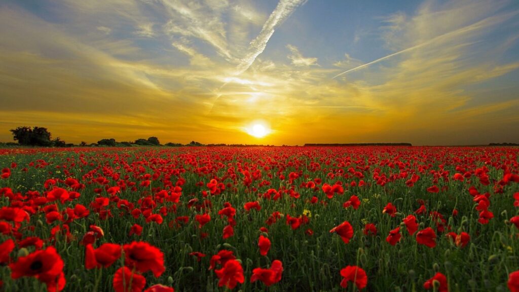 Tropische Temperaturen op Komst: Zomer Barst Los!