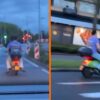Gasten op scooter denken dat ze opgejaagd worden door de politie en slaan op de vlucht