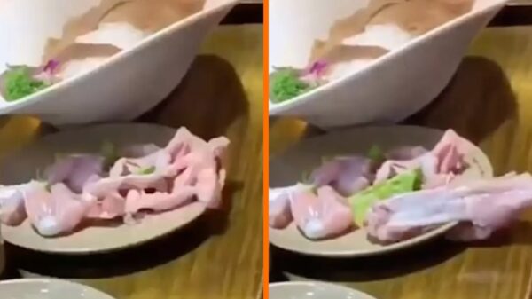 Angstaanjagende scène: 'Zombie'-vlees beweegt vanzelf op het bord van een geschrokken restaurantbezoeker