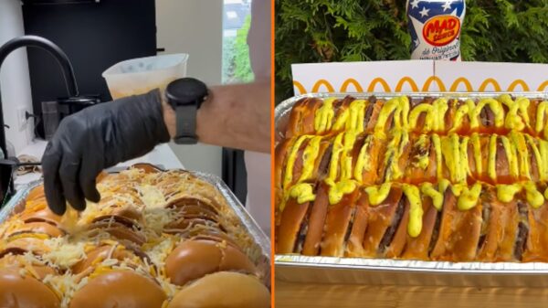 Nederlandse '30 McBurger Cheesehack' gaat wereldwijd viral: 'What is wrong with you?!'