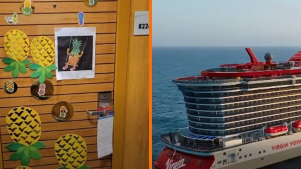 Cruisepassagiers ontdekken net wat omgekeerde ananas stickers op deuren betekenen