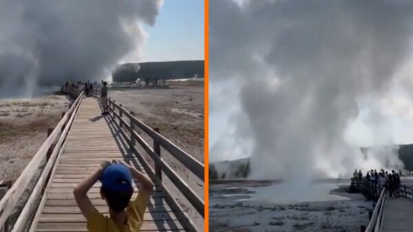 Mensen moeten rennen wanneer geiser in Yellowstone National Park in de VS ontploft