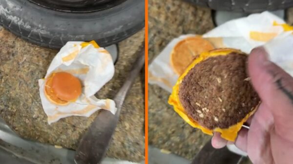 Gast ontdekt 3 jaar oude cheeseburger en hamert erop: het resultaat is verbijsterend!