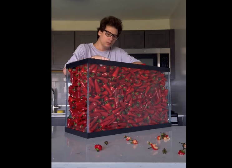 TikTokker challenge: gast probeert in 12 uur 100 liter chili pepers weg te werken