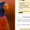 Fout telefoonnummer in Marktplaats-advertentie voor papegaai leidt tot onverwacht gesprek met onbekende