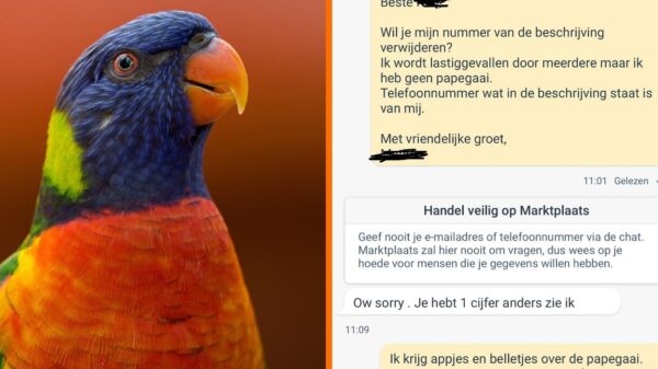 Fout telefoonnummer in Marktplaats-advertentie voor papegaai leidt tot onverwacht gesprek met onbekende
