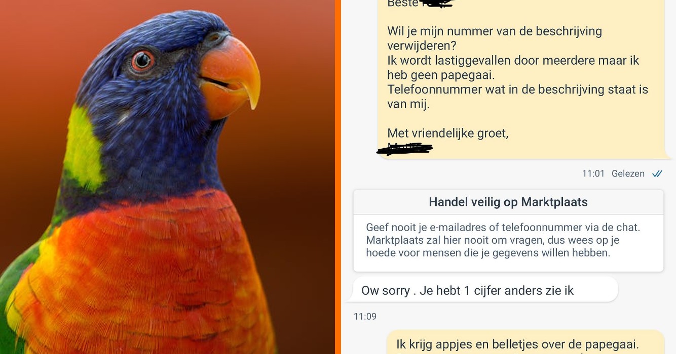 Fout telefoonnummer in Marktplaats-advertentie voor papegaai leidt tot onverwacht gesprek met onbekende