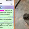 Huisbaas vindt dat studente die klaagt over muizen in huis