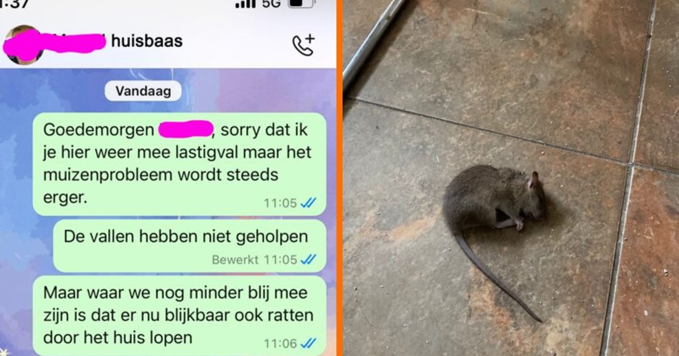 Huisbaas vindt dat studente die klaagt over muizen in huis