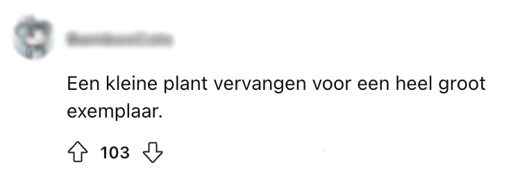 Gast die op katten van vrienden past vraagt internet om prank-suggesties en krijgt hilarische reacties9