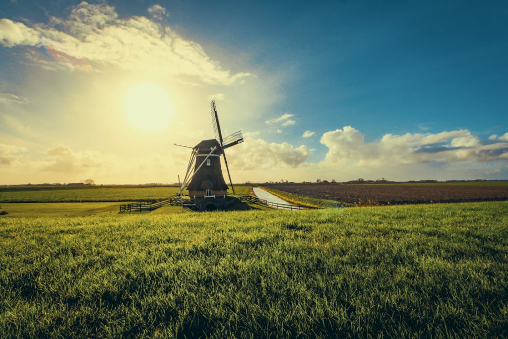 'Tropische hitte keert terug: Op deze dagen kan het 34 graden worden'