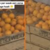 Beelden zorgen ervoor dat je de verse jus d'orange op Rotterdam Centraal voorlopig even overslaat